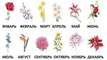 rozdenie-flor-1024x576.png