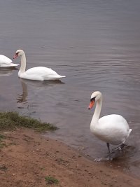 20231125_143351.jpg
