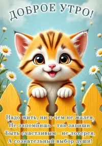 83225.webp